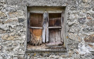 Hvilke vinduer passer til dit nye hjem? En guide til vinduesvalg for alle hustyper